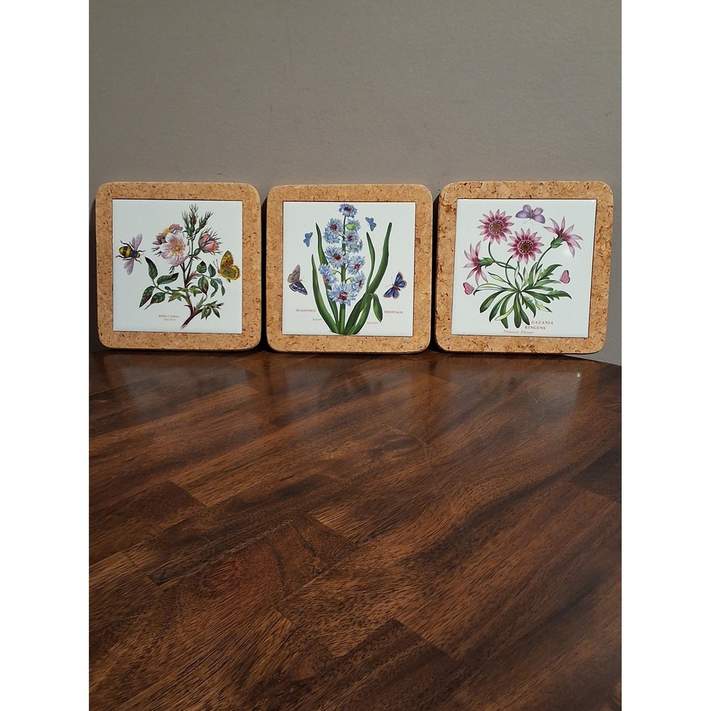 Vintage Portmeirion Botanic Garden Cork Backed Hot Pads Made In England Set Of 3